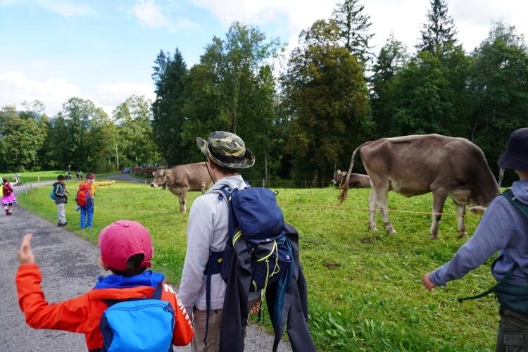 Herbstwanderung
